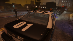 Fatal vehicle accident