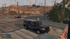 new flee in prisoner transport