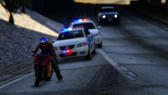 Traffic stop assistance