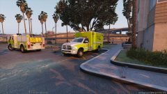 MDFR on Scene of a Medical Assist