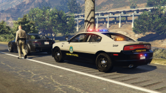 SAHP Traffic Stop