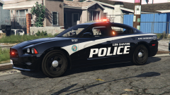 Gang Enforcement Unit