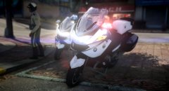 WIP Skin Temecula PD