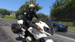 LSPD Motor Unit
