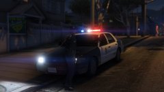 A random officer with random cruiser.