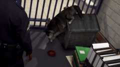 So close Doggy, so close...