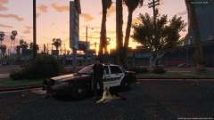 K9 Sunset