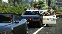 Assisting On A Traffic Stop