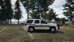 BCSO/LSSD 4K skin pack