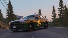 2014 Charger with NHSP Texture