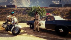 Hanging Out On The Side Of The Road