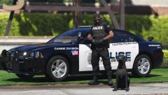 LSPD K9 Unit