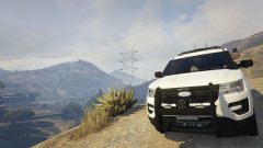 Protecting the people.