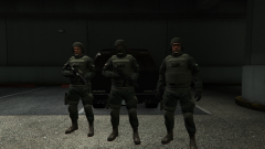 FIB SWAT