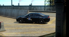 2014 Dodge Charger PPV