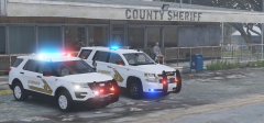 Blaine County Sheriff's Newest Additions