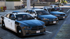 LSPD Fleet #2