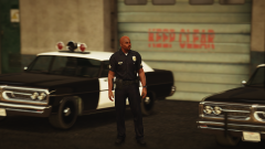 The LSPD