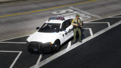 LSSD Launch Extra LS Security Midst Terror Threats