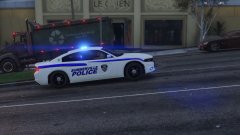 Summerville PD responds to a domestic disturbance