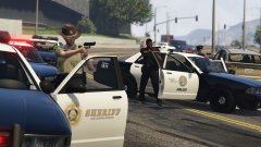 LSSD and LSPD in Burton