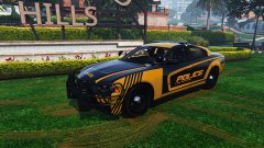 Concept Charger Skin (OLD)
