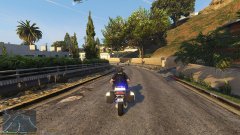 Los Santos SWAT