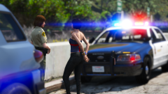 Traffic Stop - Her Side