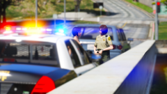 Traffic Stop - My Side