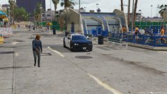 vespucci beach patrol