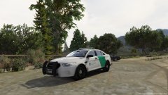 boarder patrol interceptor