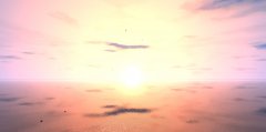 sunset.jpg