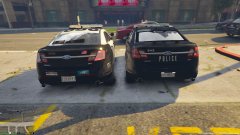 pre boarder patrol at the shop