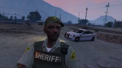 LCSO1.png