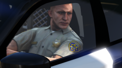 SAHP09.png