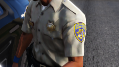 SAHP12.png