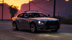 Afternoon Patrol in Blaine County