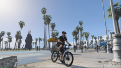 Bike Patrol