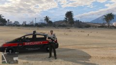 Dilettante AMFR Security