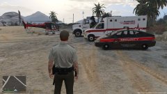 AMFR Security & Services