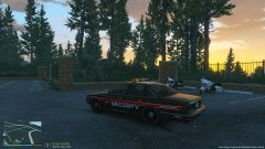 Stanier 1st Gen AMFR Security