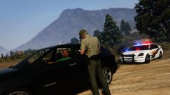 Could Be In A Worse Place For A Traffic Stop