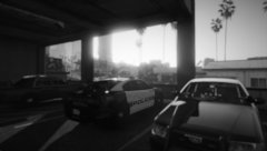 Good Morning from the LSPD @Vespucci