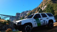 Custom Border Patrol Skin