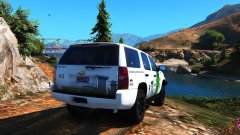 Custom Border Patrol 2