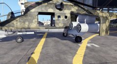 I spy something Savage