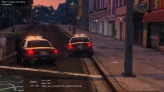 Shoplifter Apprehended after Running from Store