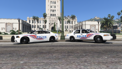 DC Police Skins!