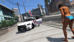 DC Police Skins!