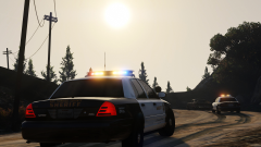 Pursuit in the Sand